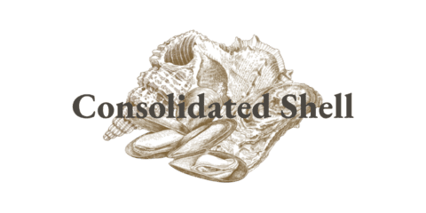 Shell Contack Suppliers Of Bulk Sea Shells Oyster, Clam & Sea Shells